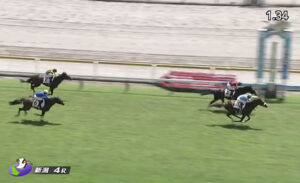 【2歳新馬】プロメサアルムンド順当に勝ち上がる