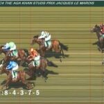 【競馬】ジャックルマロワ賞 ルメール騎乗のアスコリピチェーノは6着 スミヨン騎乗のディエゴヴェラスケスがV