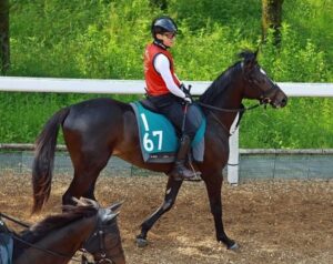 コントレイル5.2億サガルマータ大ピンチ！デビュー戦にサンデーRが怪物ぶつける