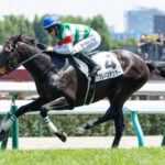 【2歳新馬】クレパスキュラー強すぎワロタw w w w w