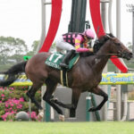 インビンシブルパパ次走は賞金19億のジ・エベレストに参戦確定か