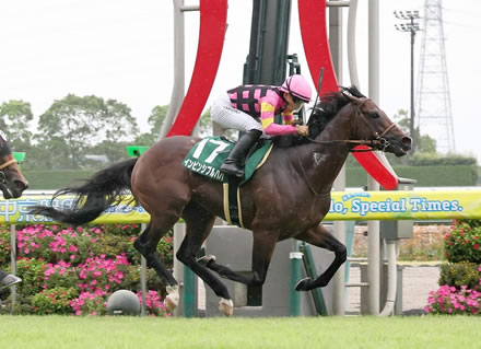 【CBC賞】5番人気インビンシブルパパが逃げ切りV!重賞初制覇