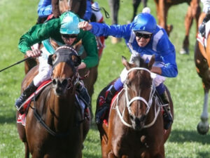 豪州競馬史上最強牡馬 誰も知らない説