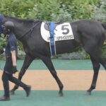 【競馬予想】第45回新潟2歳ステークス(GⅢ) /2025