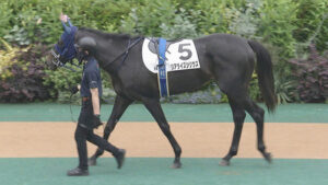 【競馬予想】第45回新潟2歳ステークス(GⅢ) /2025