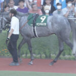 【競馬予想】[2]第61回CBC賞(GⅢ) /2025