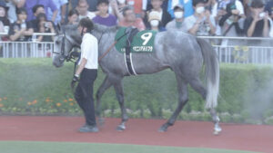 【競馬予想】[2]第61回CBC賞(GⅢ) /2025