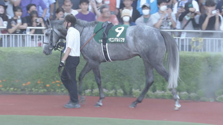 【競馬予想】[2]第61回CBC賞(GⅢ) /2025
