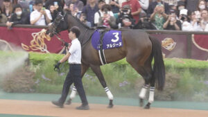 【競馬予想】[1]第73回クイーンステークス(GⅢ) /2025