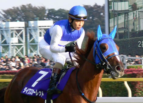 安藤勝己といえばコノ馬って何?