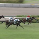 【中京2歳ステークス2025】出走予定馬・騎手/小倉からの引継ぎ