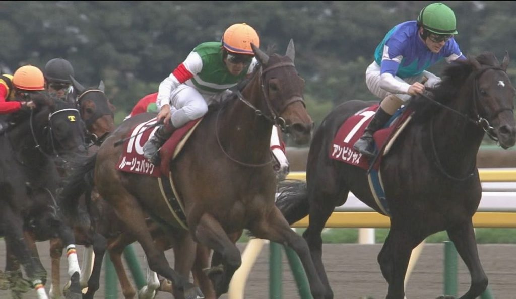 【競馬】なぜルージュバックはドバイDFに出ないのか?