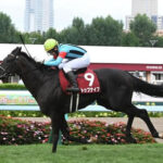 【札幌記念】大波乱3連単は130万超え!10番人気のトップナイフが抜け出し重賞初制覇