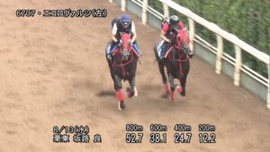 【中京記念2025】追い切り/調教を見てわかる事