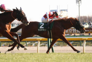 【競馬予想】[2]第20回キーンランドカップ(GⅢ) /2025