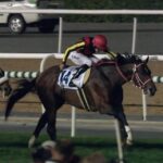 【競馬】ドバイターフ出走予定のリアルスティール出走取消