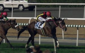 【競馬】ドバイターフ出走予定のリアルスティール出走取消