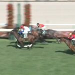 【競馬】クイーンSは川田騎乗のアルジーヌがV