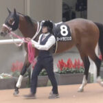 【競馬予想】第17回レパードステークス(G3) /2025