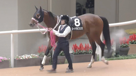 【競馬予想】第17回レパードステークス(G3) /2025