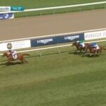 【ギヨームドルナノ賞】アロヒアリイ強すぎワロタwwwww