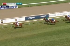 【ギヨームドルナノ賞】アロヒアリイ強すぎワロタｗｗｗｗｗ