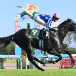 【新潟2歳S】リアライズシリウスが衝撃の圧勝劇!ポエティックフレア産駒初の重賞制覇