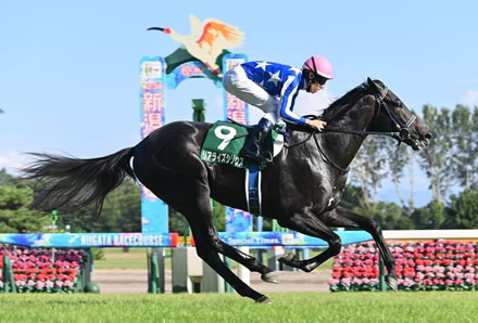 【新潟2歳S】リアライズシリウスが衝撃の圧勝劇!ポエティックフレア産駒初の重賞制覇