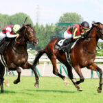 【日本海S】ゲルチュタールが出世レース制す