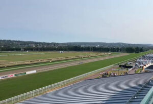 今年の英2000ギニー覇者ルーリングコートが蹄葉炎による合併症のため安楽死