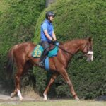 【悲報】プロメサアルムンド骨折で全治6カ月以上