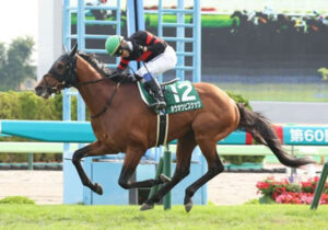 【競馬予想】[2]第61回札幌記念(GⅡ) /2025