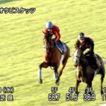 【札幌記念2025】追い切り/抜群の動きを見せたのは