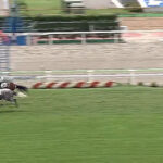 ゴールドシップ 新馬戦2番人気7.0倍←これ