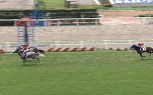 ゴールドシップ 新馬戦2番人気7.0倍←これ