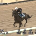 【エルムステークス2025】追い切り/調教を見てわかる事