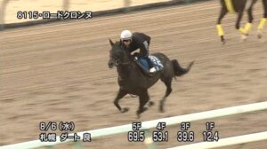 【エルムステークス2025】追い切り/調教を見てわかる事