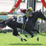 コントレイルが種牡馬として普通に成功しそうでビビったやつ