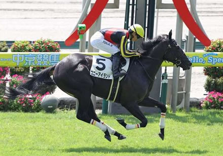 【2歳新馬】コニーアイランド強すぎワロタwww