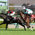 【競馬予想】[2]第73回クイーンステークス(GⅢ) /2025