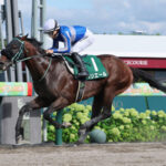 【エルムS】ペリエールが抜け出し2馬身半差の完勝!重賞2勝目