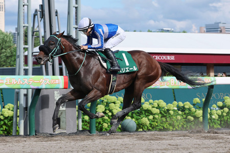【エルムS】ペリエールが抜け出し2馬身半差の完勝!重賞2勝目