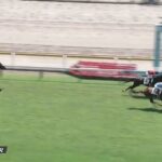 【競馬】アーモンドアイ2番仔プロメサアルムンドがデビュー戦を快勝