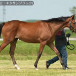 キタサンブラック産駒Big Imaginationが華々しく全米デビュー！結果は･･･