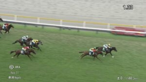 【新潟2歳ステークス2025】出走予定馬・騎手/決め手比べ