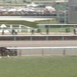 【競馬】フラワーCでファンディーナが倒した相手www