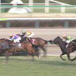 【競馬】友道調教師がトリコロールブルーのデムーロの騎乗をdisる