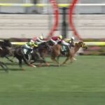 【競馬】中京記念は横山武騎乗のマピュースがV