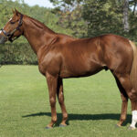 オルフェーヴル実際はようやっとる件