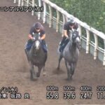 【CBC賞2025】追い切り/動きを見極め勝利に近づけ